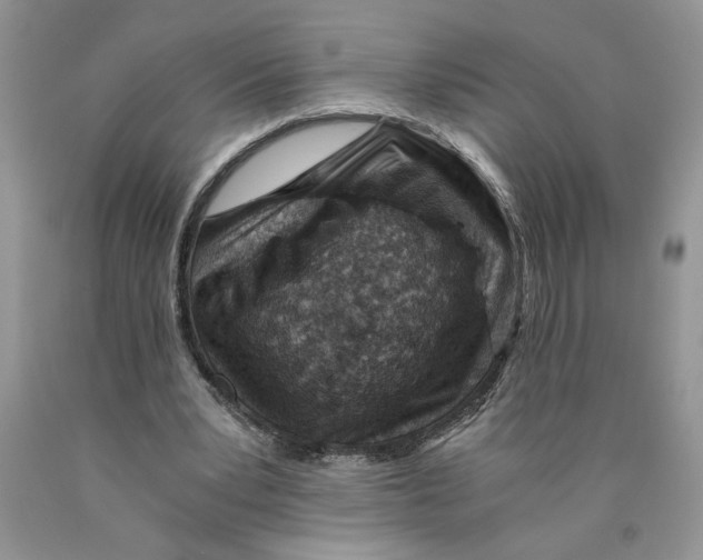 X0000089950391200707271845