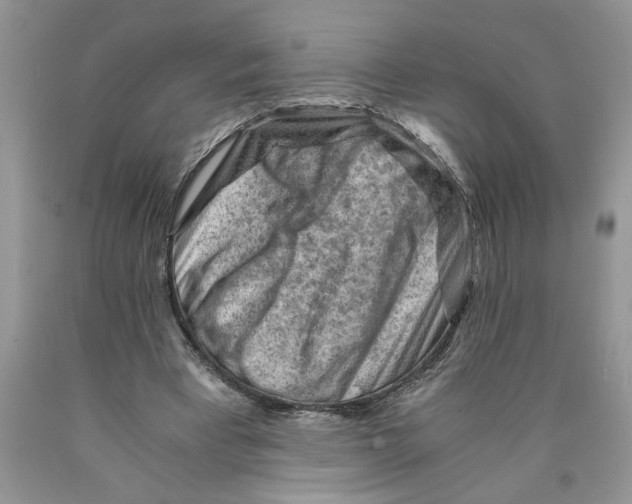 X0000089950393200707271845