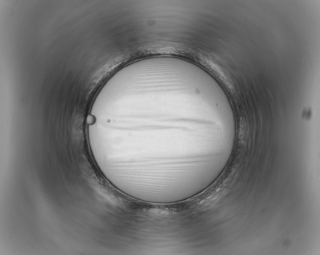 X0000089950394200707271845