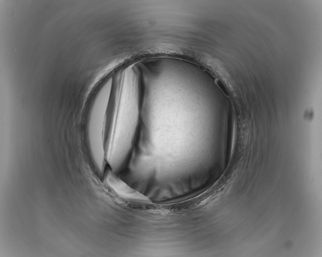 X0000089950395200707271845