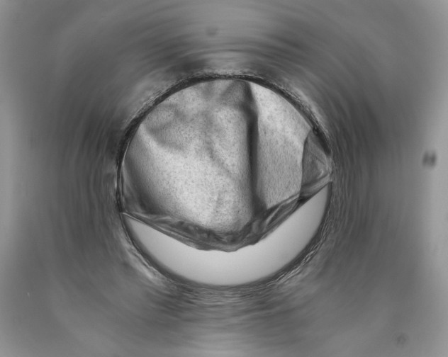 X0000089950397200707271845