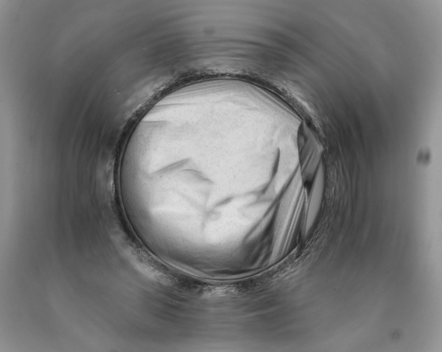 X0000089950398200707271845