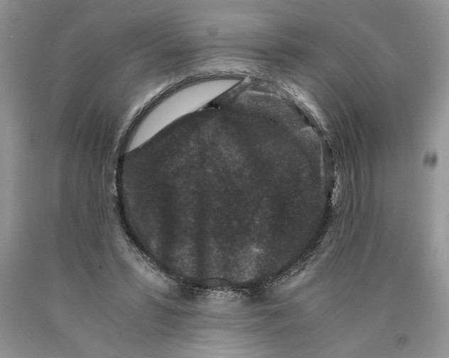 X0000089950399200707271845