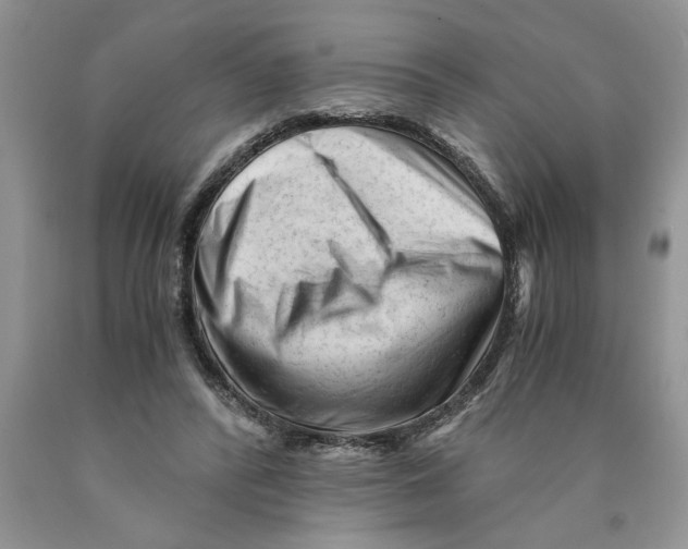 X0000089950400200707271844