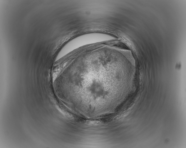 X0000089950401200707271844