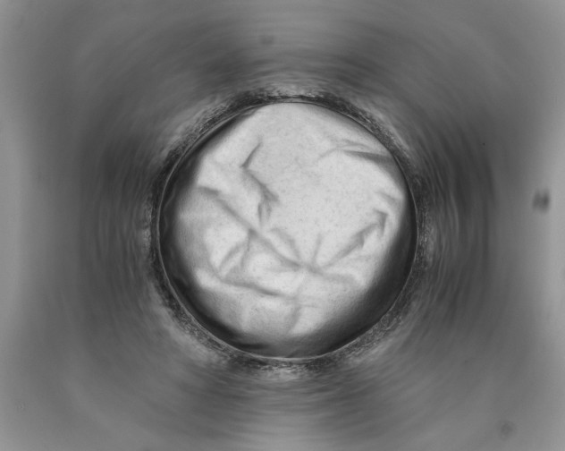 X0000089950402200707271844