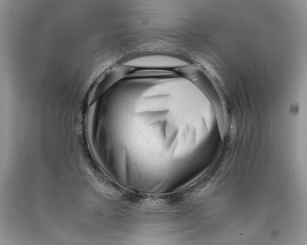 X0000089950403200707271844