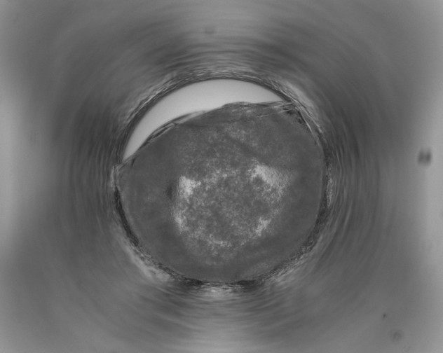 X0000089950405200707271844