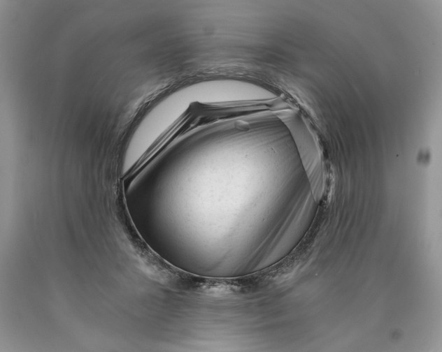 X0000089950407200707271844