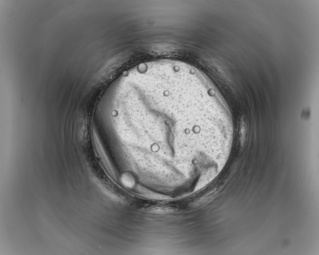 X0000089950408200707271844