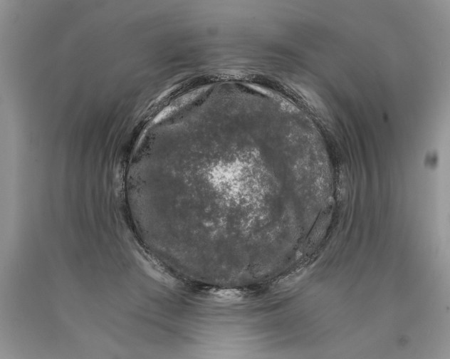 X0000089950409200707271844