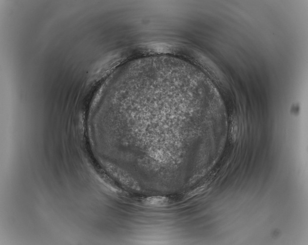 X0000089950410200707271844