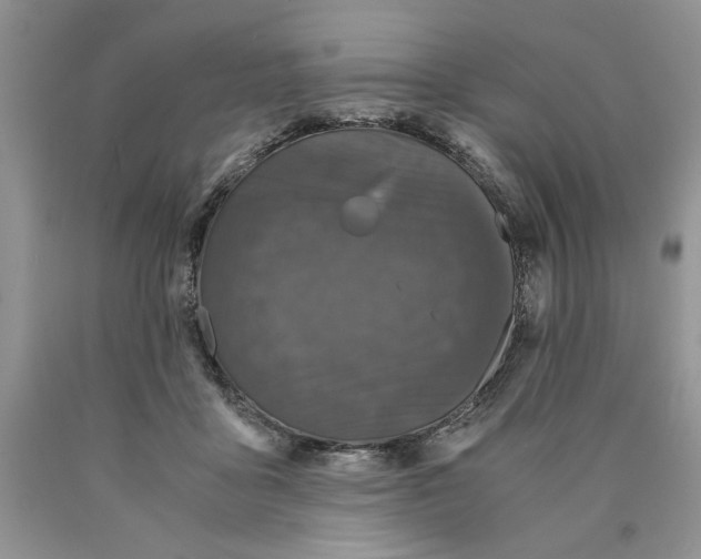 X0000089950411200707271844