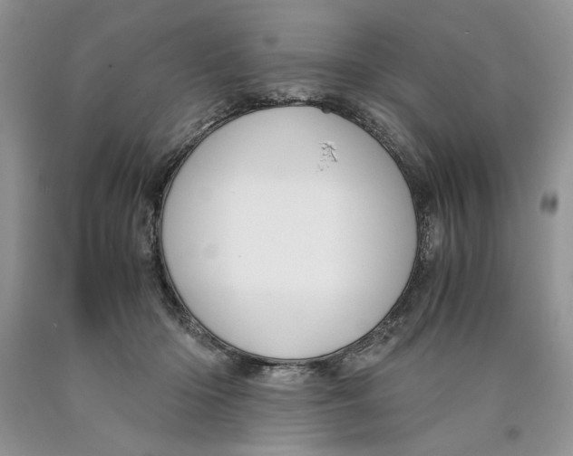 X0000089950414200707271844