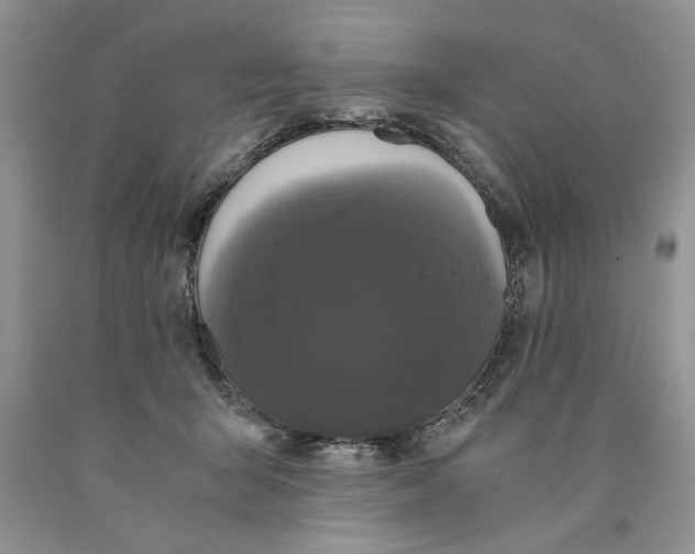 X0000089950415200707271844