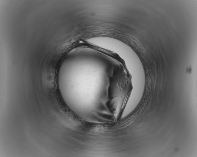 X0000089950416200707271844