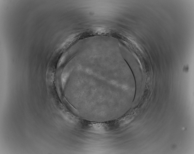 X0000089950417200707271844