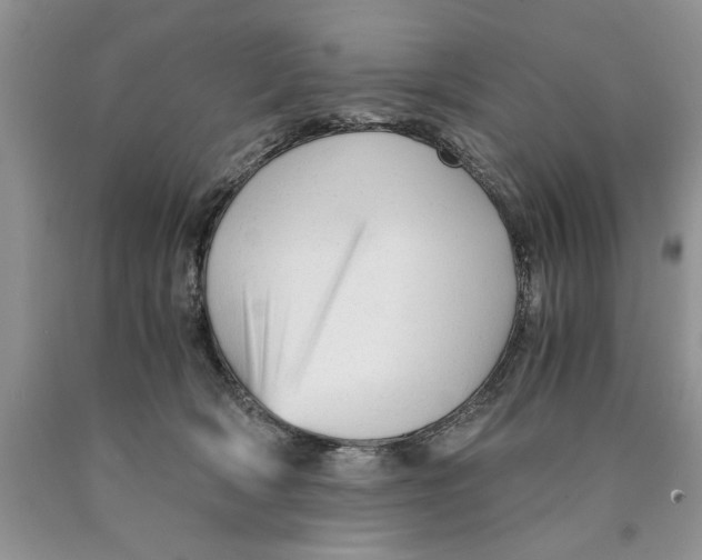 X0000089950418200707271844