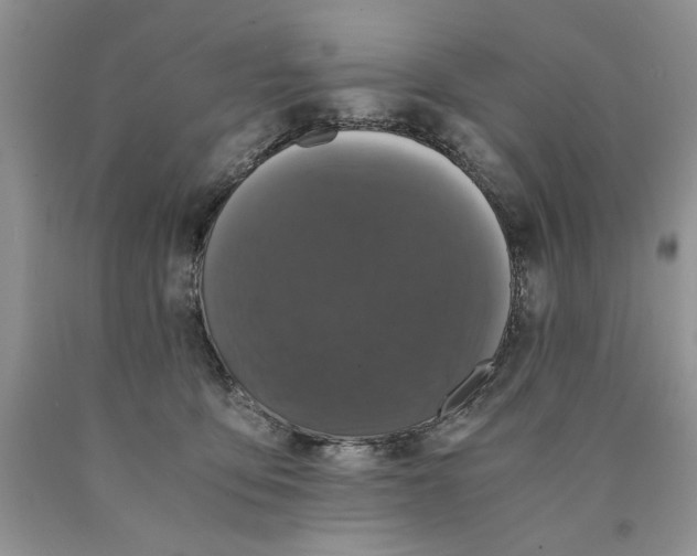 X0000089950419200707271844