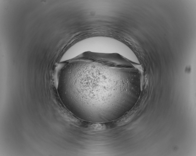X0000089950421200707271844
