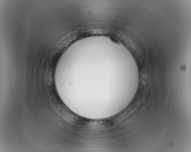 X0000089950422200707271844