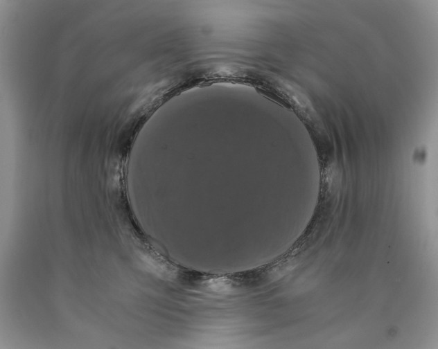 X0000089950423200707271844