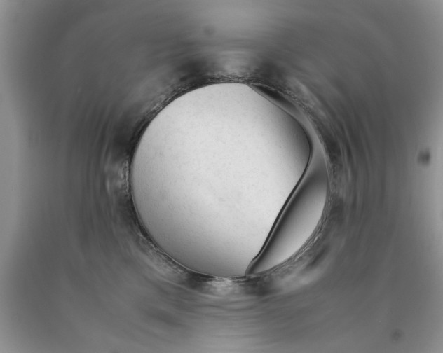 X0000089950425200707271844