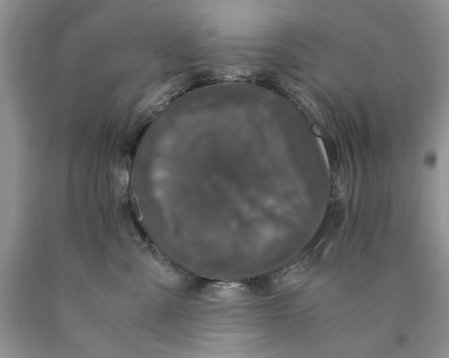 X0000089950427200707271844