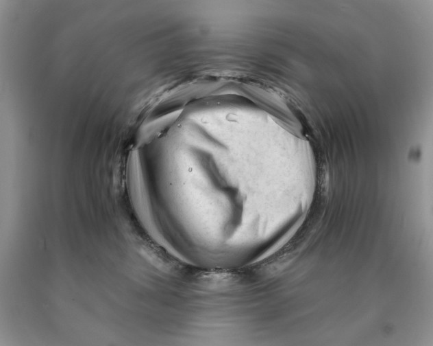 X0000089950428200707271844