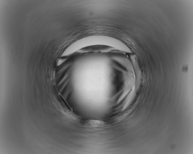 X0000089950429200707271844