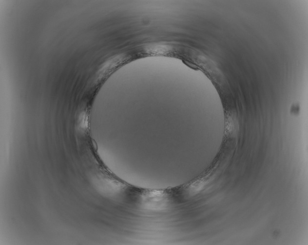 X0000089950431200707271844