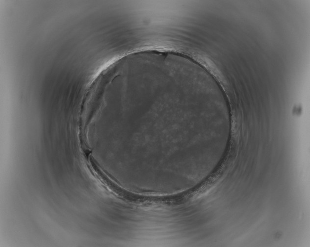X0000089950434200707271843