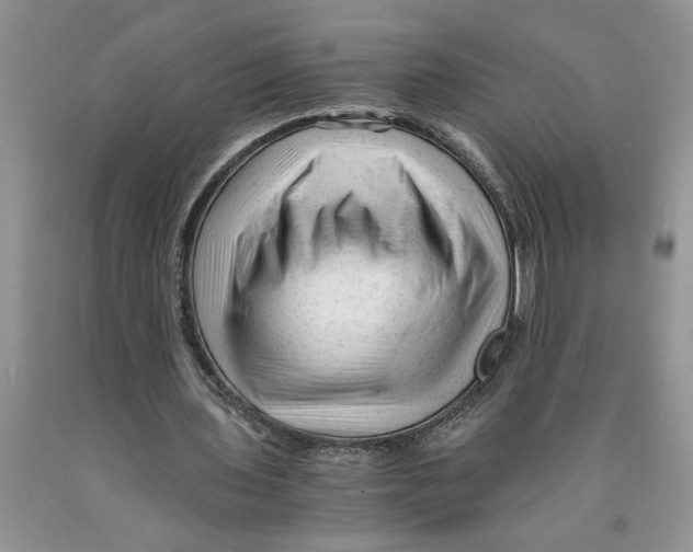 X0000089950435200707271843