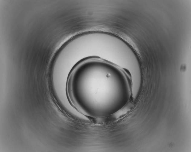 X0000089950436200707271843