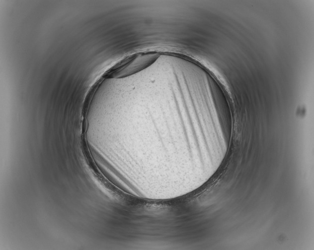 X0000089950437200707271843