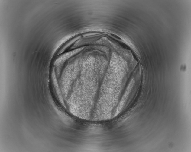 X0000089950438200707271843