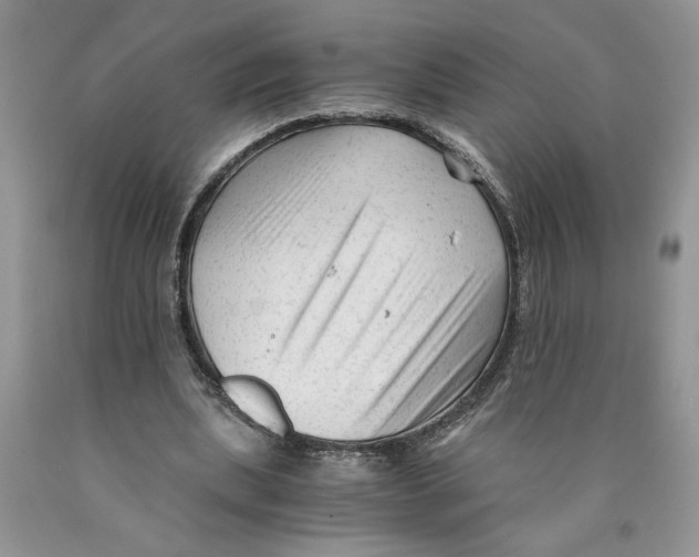 X0000089950439200707271843