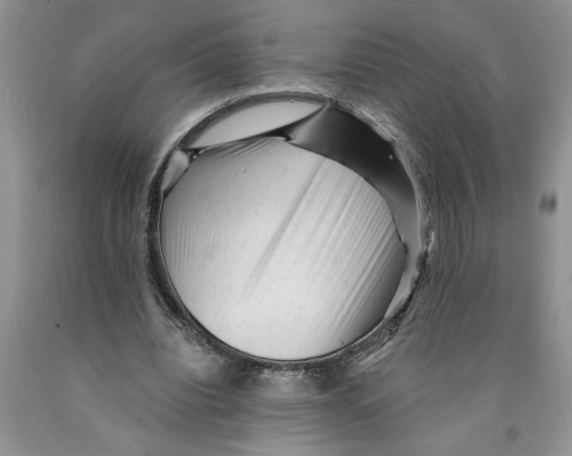 X0000089950440200707271843