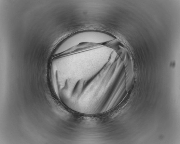 X0000089950442200707271843
