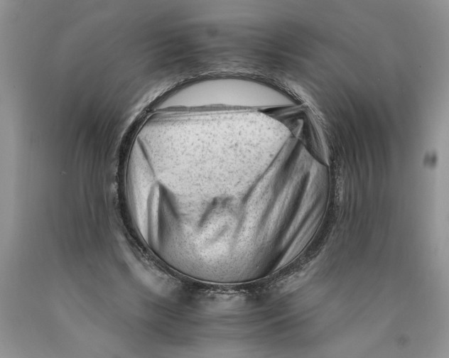 X0000089950443200707271843