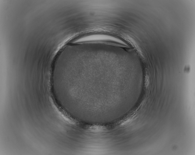 X0000089950444200707271843