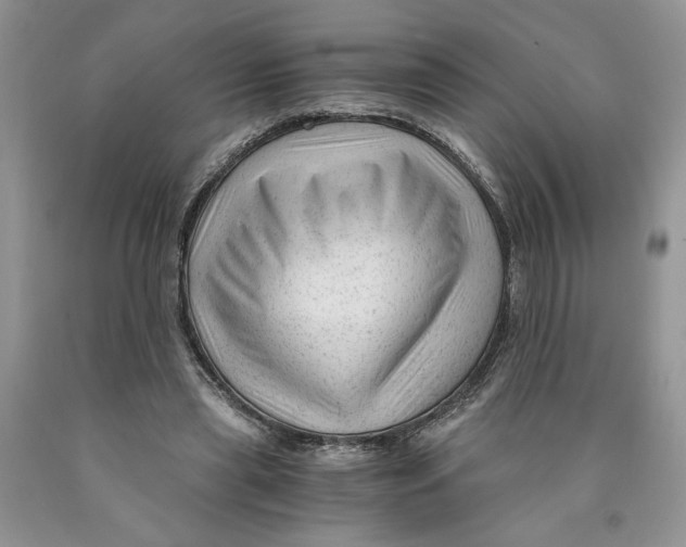 X0000089950445200707271843