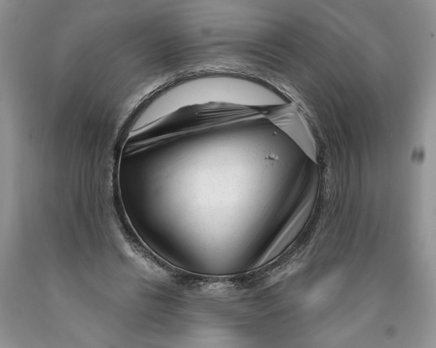 X0000089950446200707271843