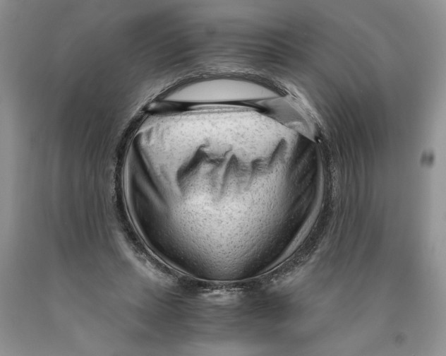 X0000089950447200707271843