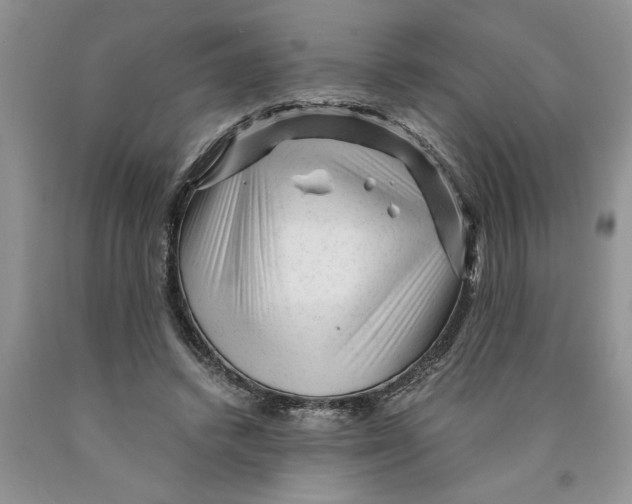 X0000089950448200707271844