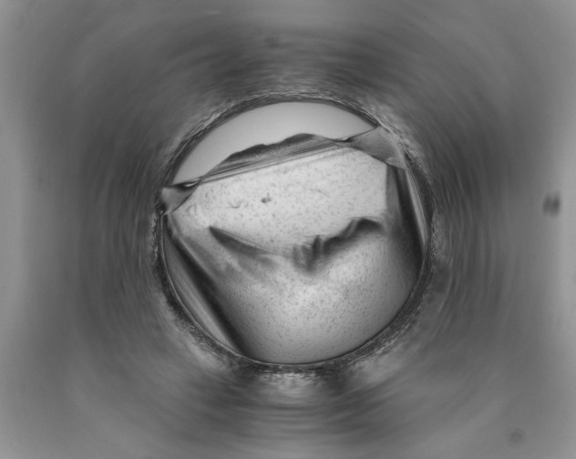 X0000089950449200707271844
