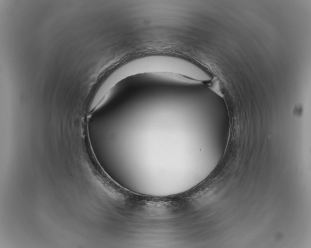 X0000089950450200707271844
