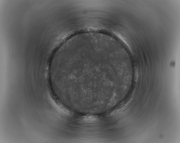 X0000089950451200707271844