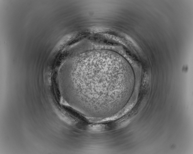 X0000089950452200707271844