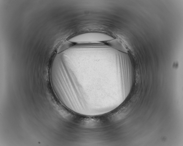 X0000089950453200707271844
